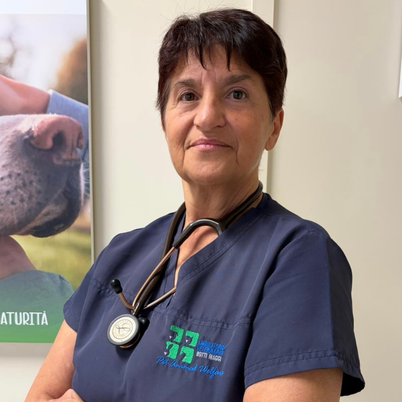 22.1 Primo piano della Dott.ssa Bruna Botti veterinaria dell'Ambulatorio Veterinario Botti Maggi. Una donna in camice blu navy con uno stetoscopio al collo sta in piedi con sicurezza, a braccia incrociate, in un ambiente clinico.