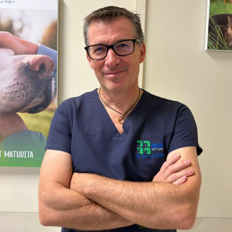 23.1 Primo piano del Dott. Marco Maggi veterinario dell'Ambulatorio Veterinario Botti Maggi. Un uomo con occhiali e camice blu navy sta in piedi con le braccia incrociate e sorride alla telecamera.