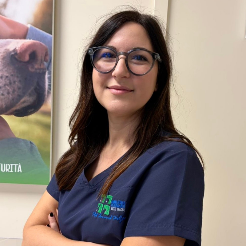 26.1 Primo piano della Dott.ssa Pamela Taini veterinaria dell'Ambulatorio Veterinario Botti Maggi. Una donna con lunghi capelli scuri e occhiali, che indossa un camice blu, sta sorridendo con le braccia incrociate in una clinica veterinaria.