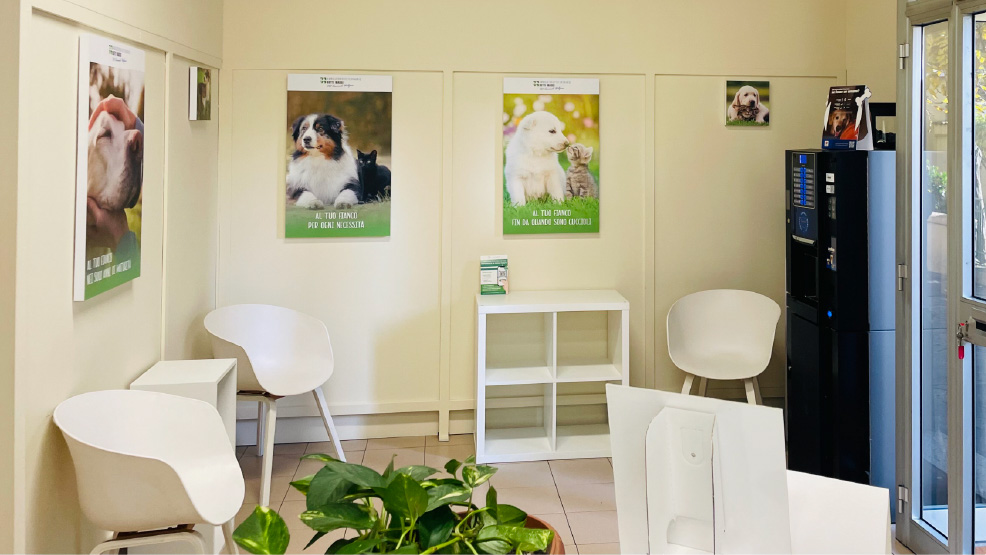 Sala d'attesa odierna dell'Ambulatorio Veterinario Botti Maggi. Ci sono tre sedie bianche, una macchinetta del caffè, un mobile, tre quadri che raffigurano cani e gatti e due quadretti più piccoli che raffigurano cani e gatti